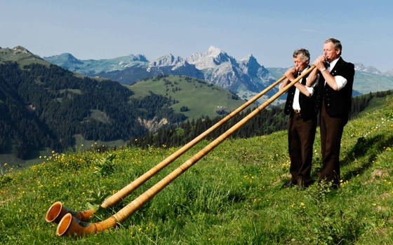 vmusik_alphorn1.jpg